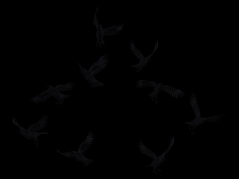 Crows-PNG-Pic