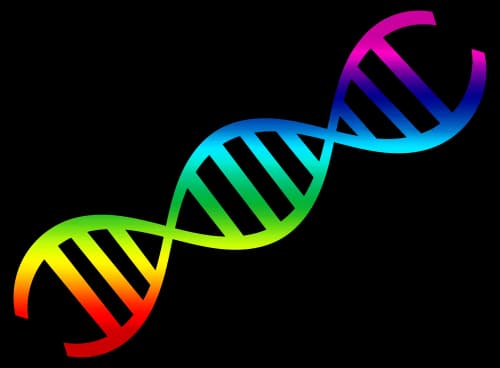DNA, Nucleotides, Genetics, Sequence, Helix PNG