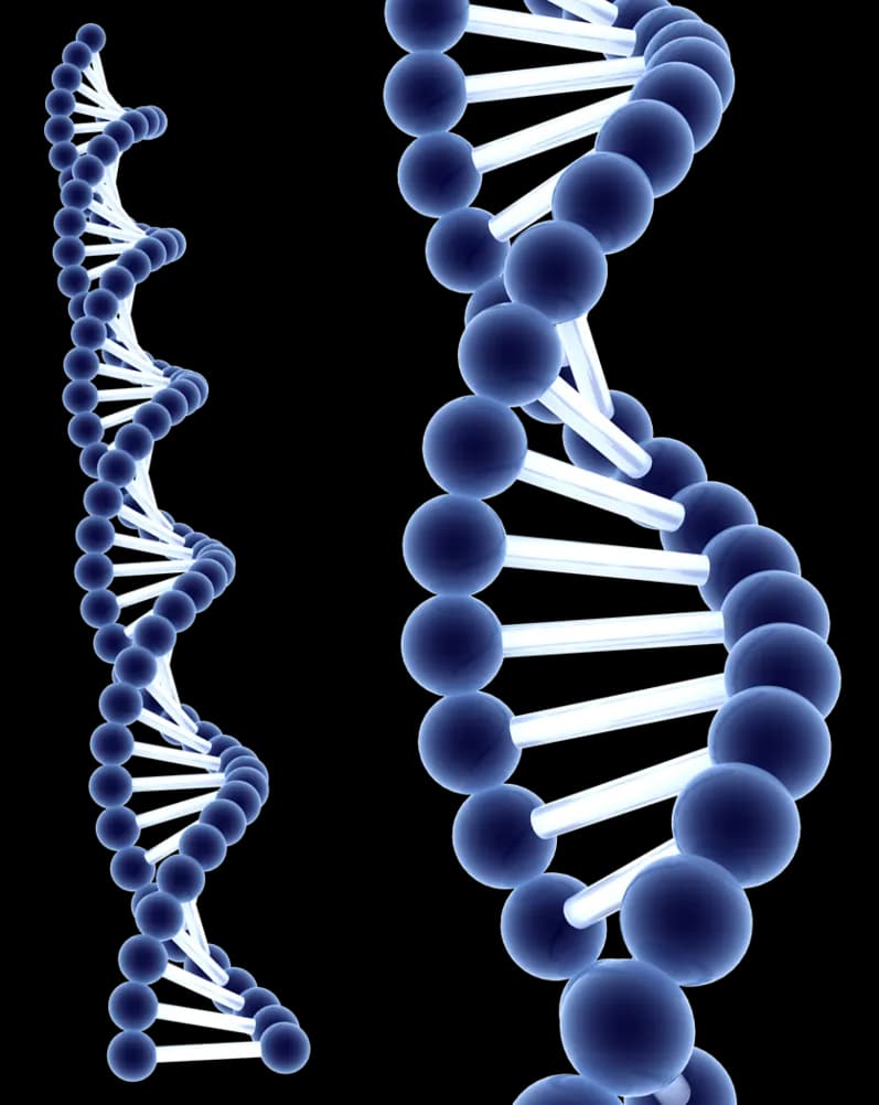 DNA-PNG-Clipart