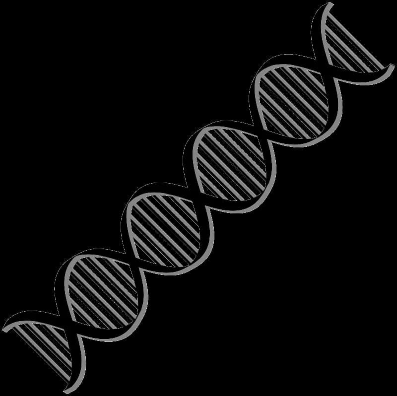DNA-PNG-Free-Download