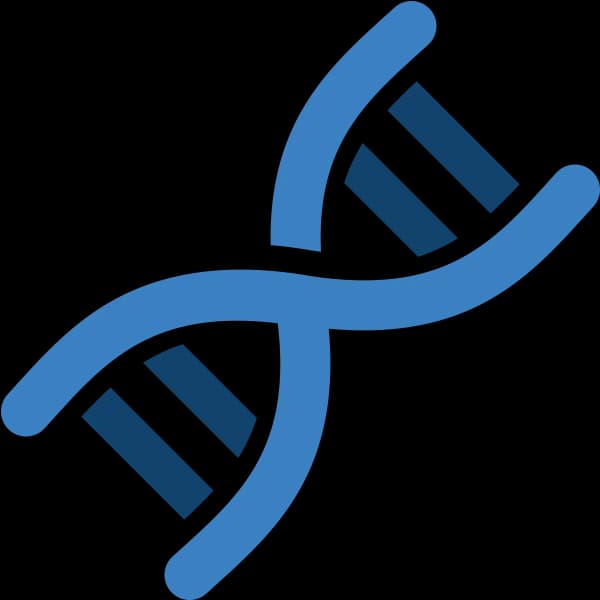 DNA, Genetics, Sequence, Nucleotide, Genome PNG