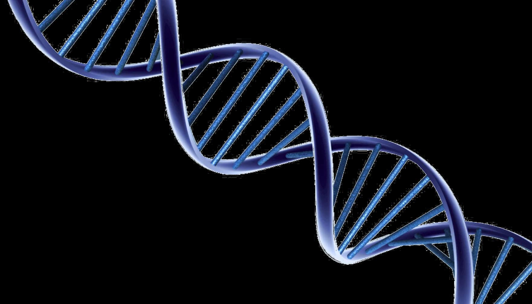 DNA-PNG-Photo