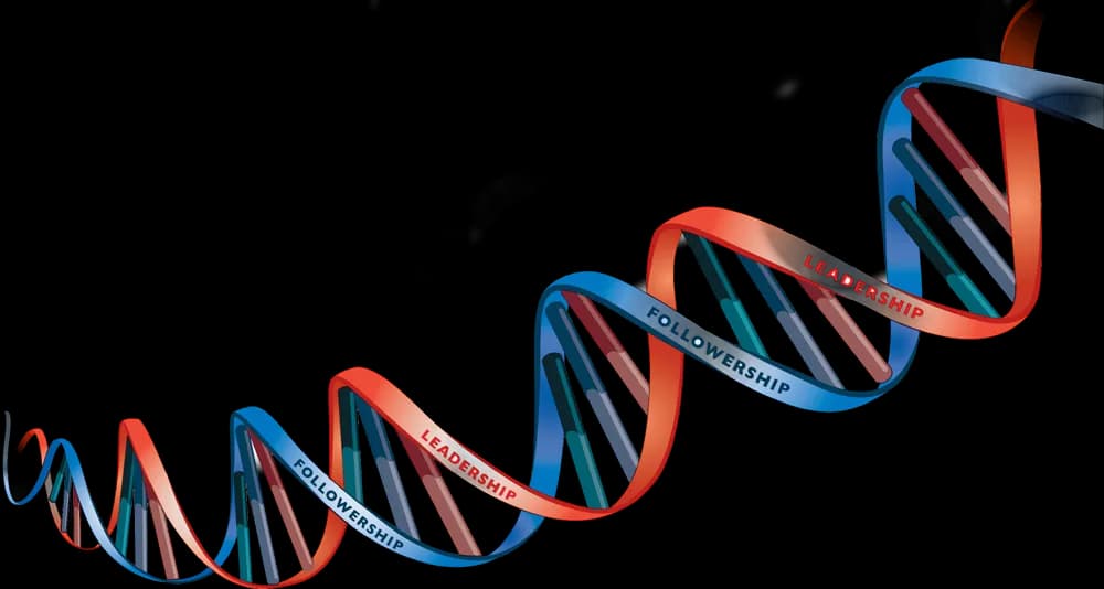 DNA, Sequence, Chromosome, Helix, Nucleotide PNG