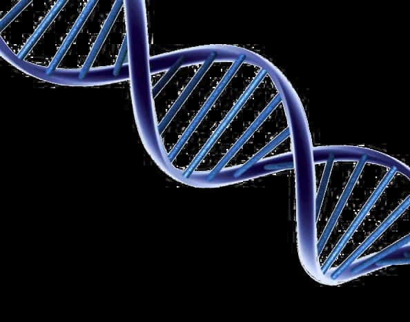 DNA-Transparent-Background