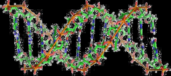DNA, Molecule, Genetics, Sequence, Chromosome PNG