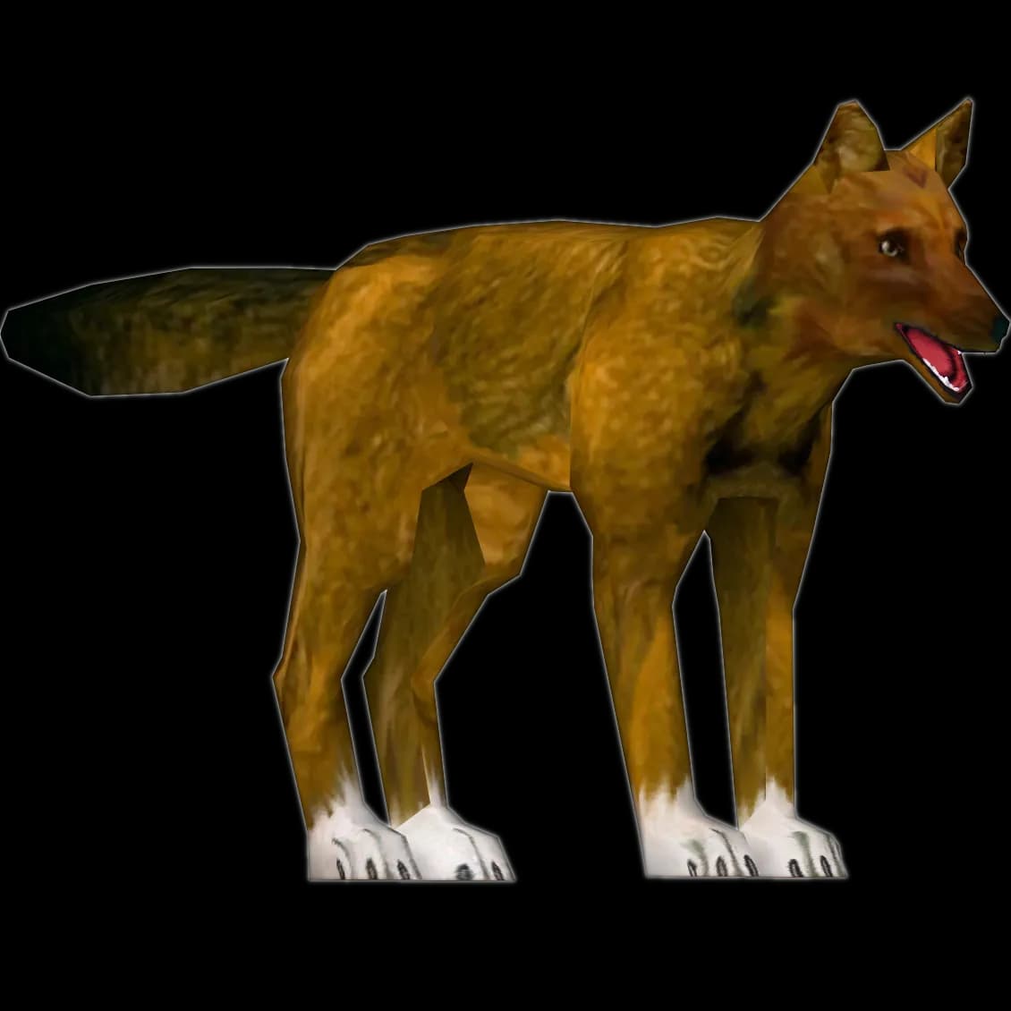 Dhole-PNG-Free-Download