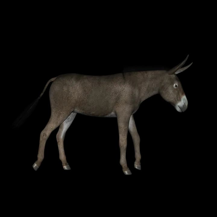 Donkey-Animal-PNG-Transparent