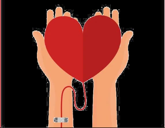 Donor, Sponsor, Philanthropist, Benefactor, Supporter PNG