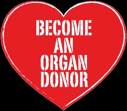 Donor, Supporter, Benefactor, Philanthropist, Contribution PNG