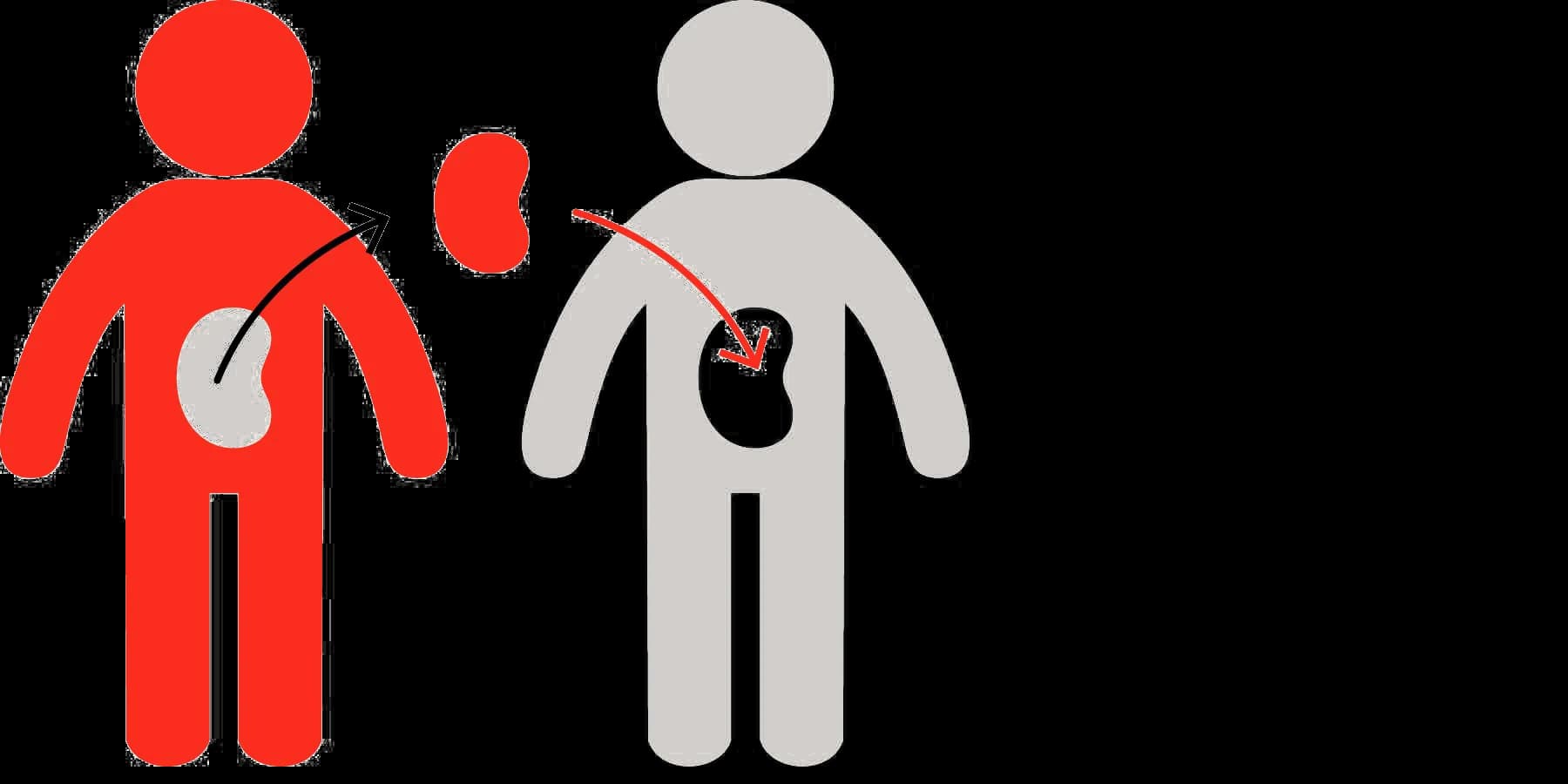 Donor, Supporter, Charity, Giver, Contribution PNG