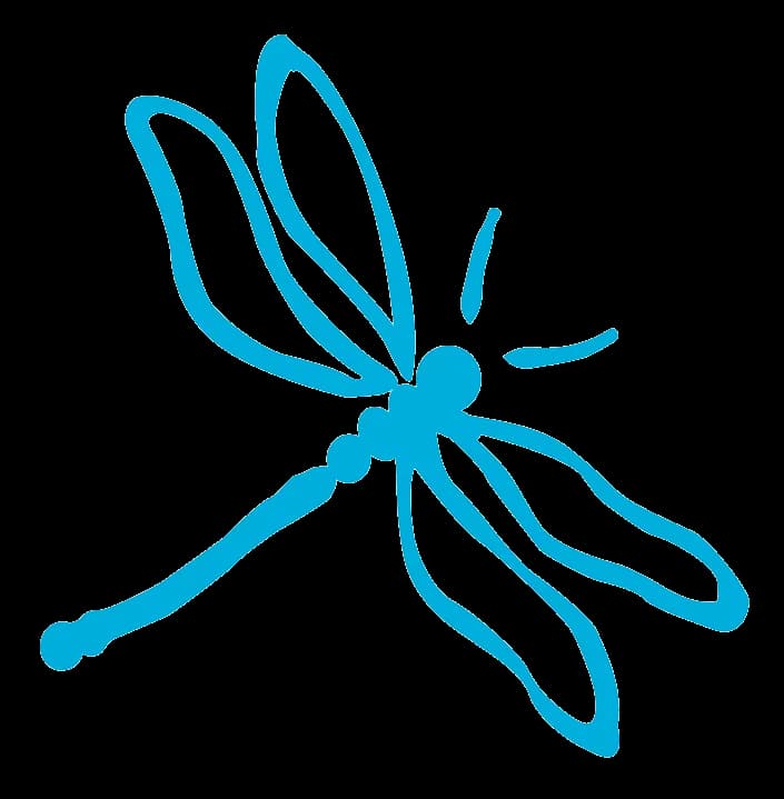 Dragonfly-PNG-Transparent-Image