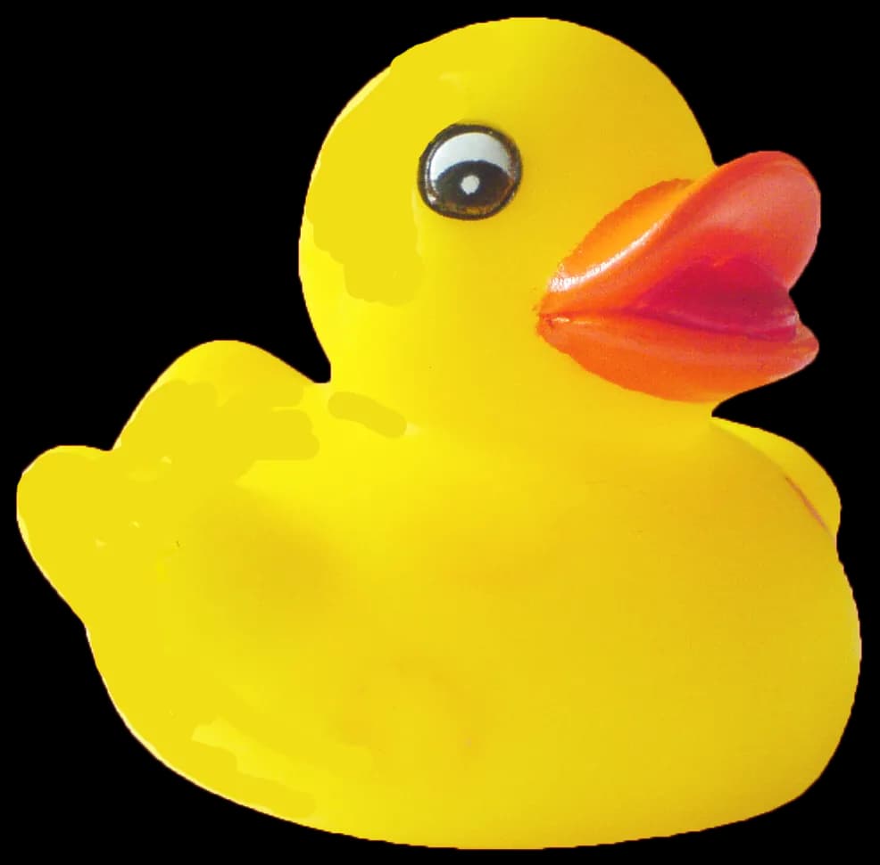 Duck PNG Pic