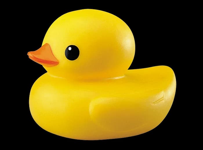 Duck-Transparent-PNG