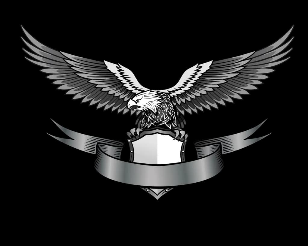 Eagles, Birds, Freedom, Wildlife, Nature PNG