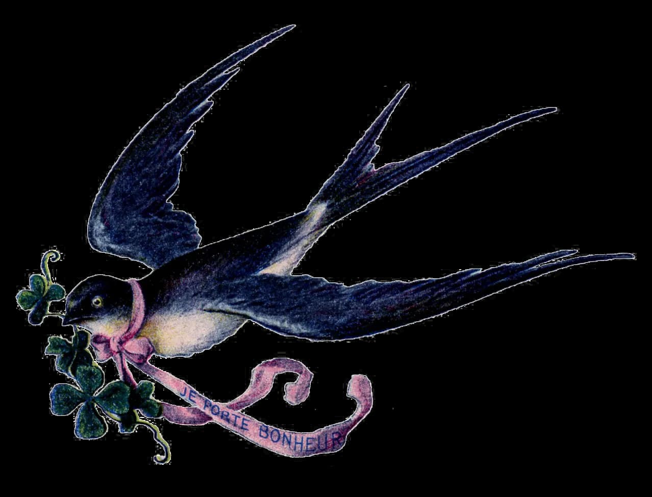 Fairy-Bird-PNG-Free-Download