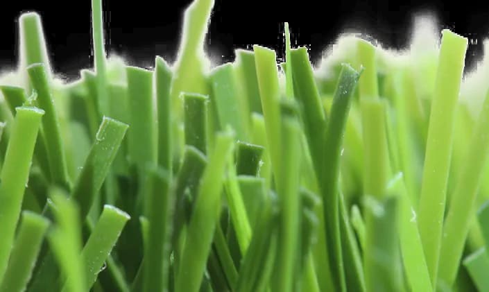 Fake-Grass-PNG-Photo