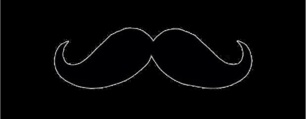 Fake-Moustache-PNG-Image