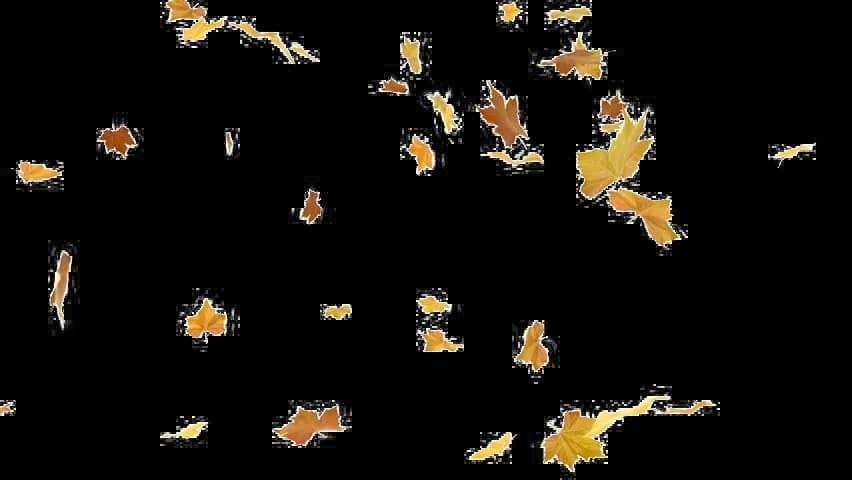 Falling-Leaf-PNG-Photos