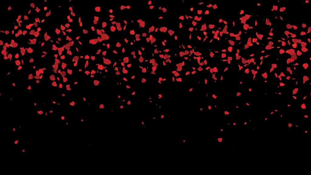 Falling-Petals-PNG-Image