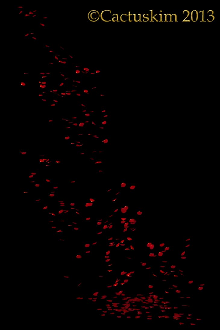 Falling-Petals-PNG-Pic