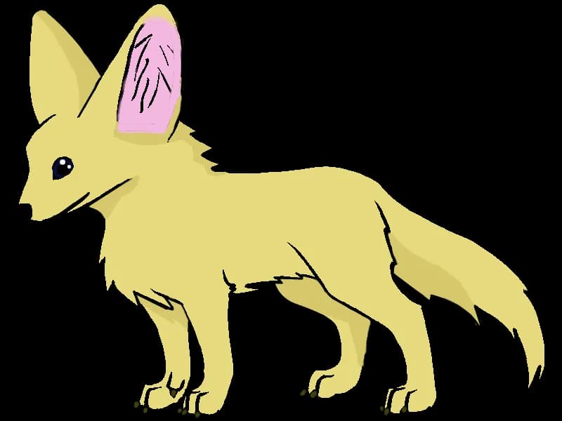 Fennec-Fox-PNG-Clipart