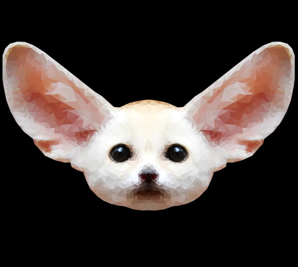 Fennec Fox, Small, Mammal, Desert, Nocturnal PNG