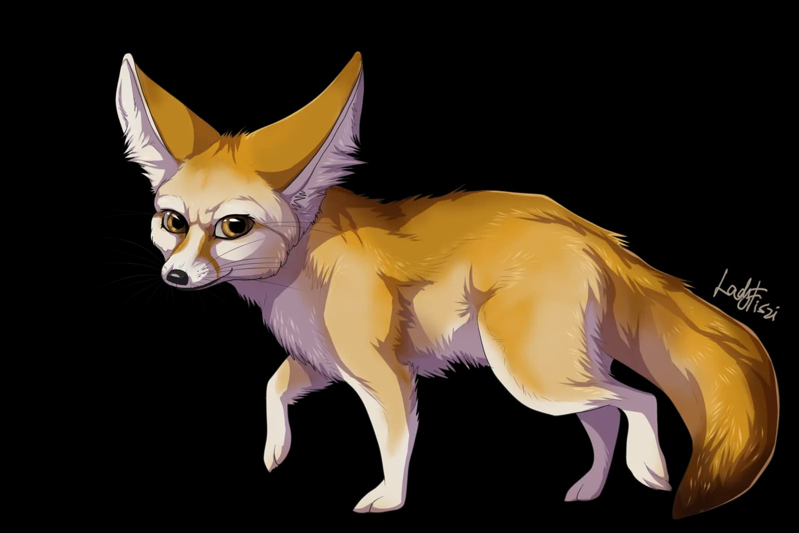 Fennec Fox, Africa, Adaptation, Large Ears, Cunning PNG