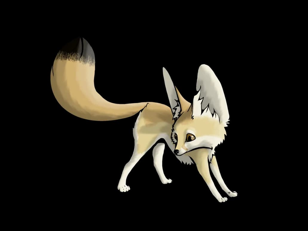 Fennec-Fox-Transparent-PNG