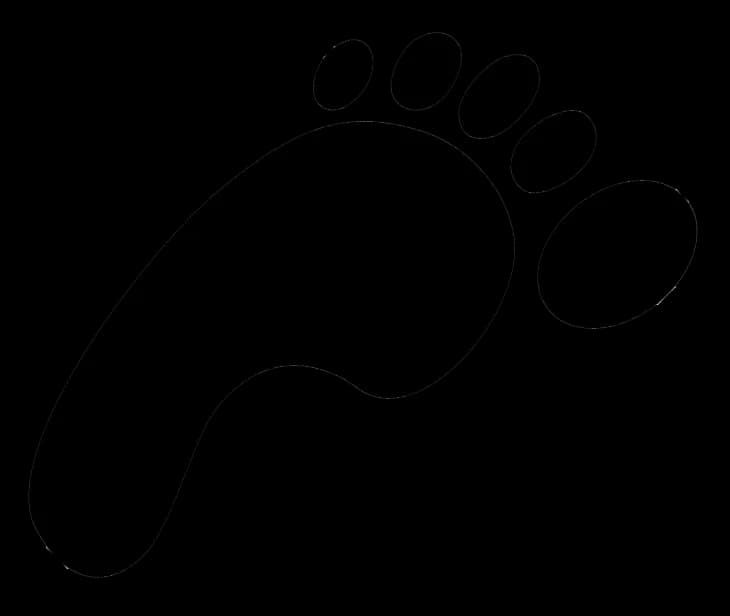 Footprints-Transparent-PNG