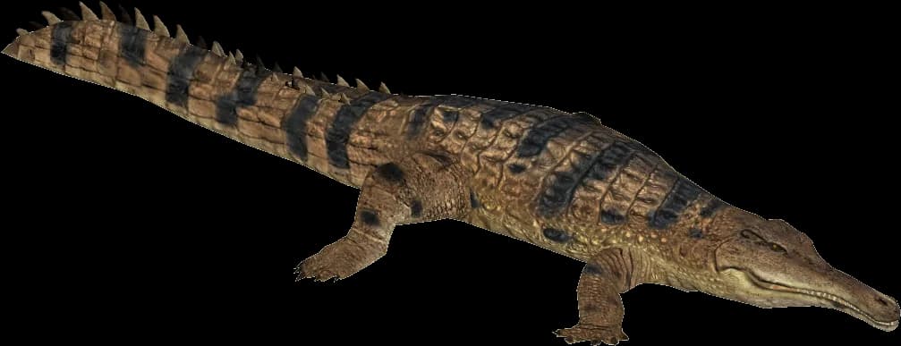 Gharials, Crocodilians, Reptiles, Habitat, India PNG