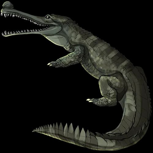Gharials-PNG-Free-Download