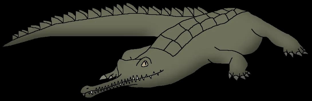 Gharials, Crocodiles, India, Endangered, Reptiles PNG
