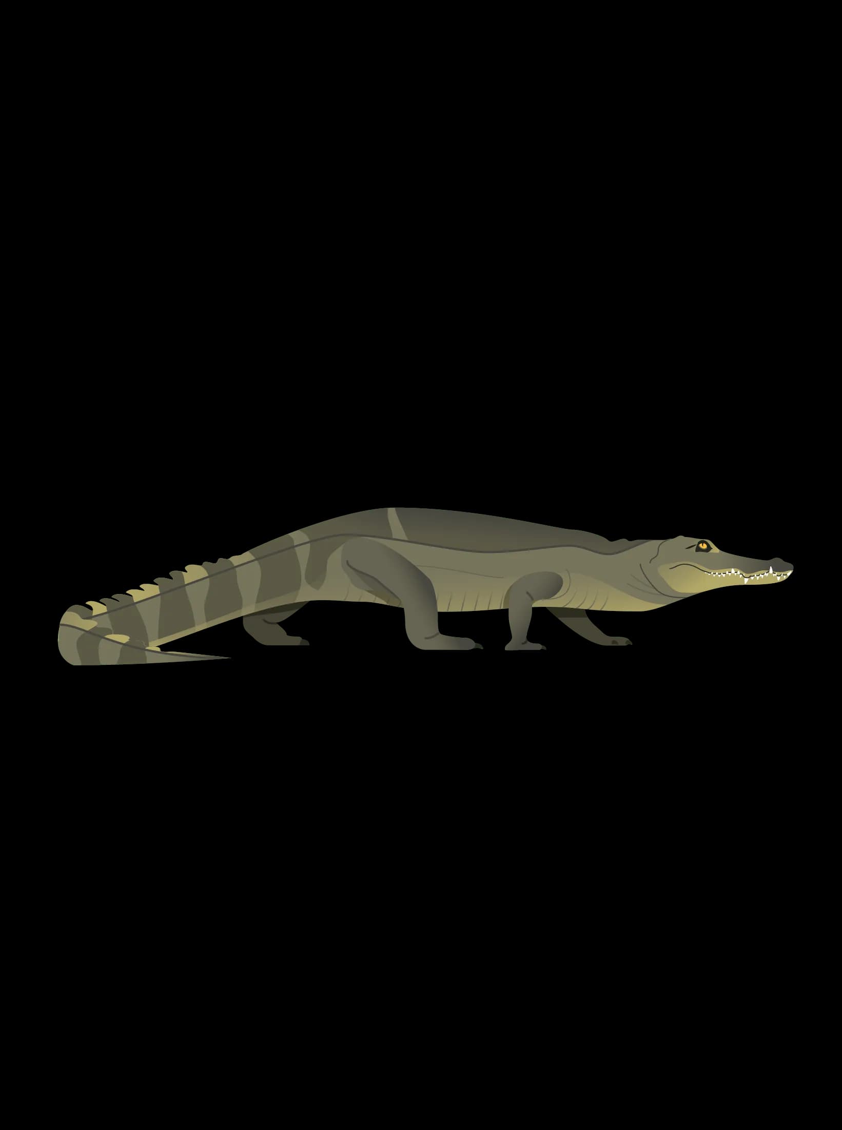 Gharials-PNG-Photo
