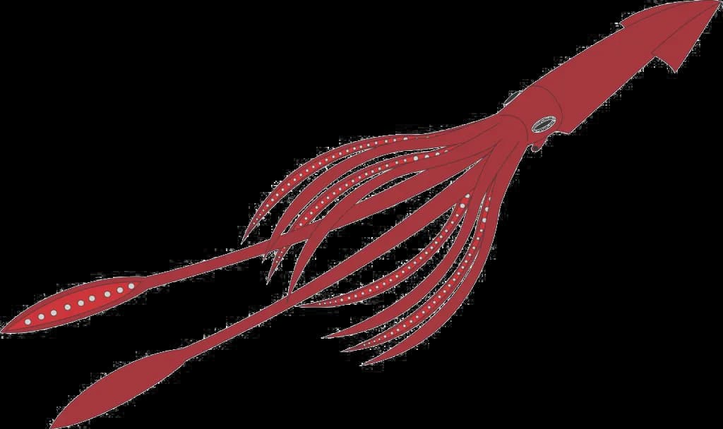 Giant-Squid-Transparent-Background