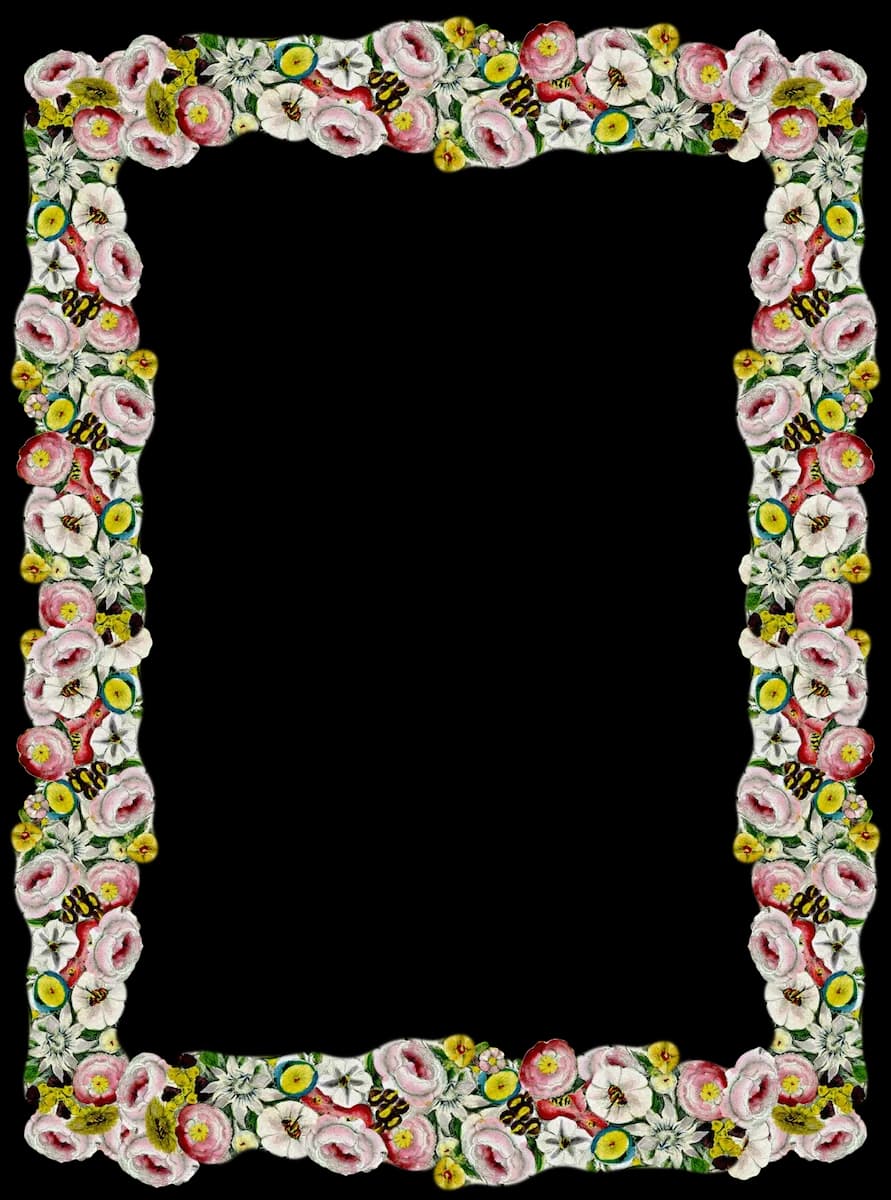 Girly-Border-PNG-Pic