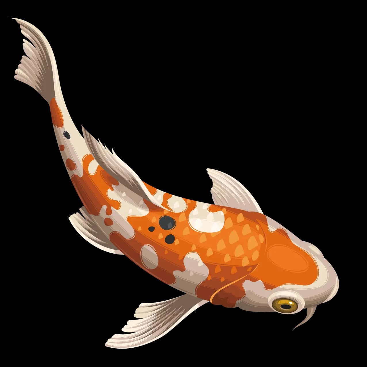 Golden-Koi-Fish-PNG-Picture