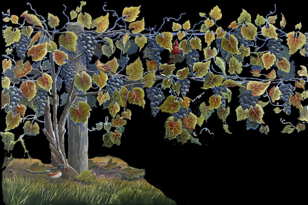 Grapevine, Wine, Greenery, Agriculture, Nature PNG