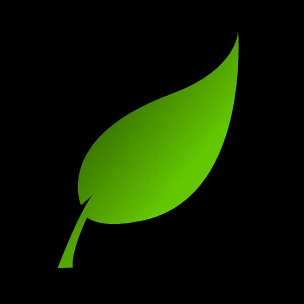 Green-Leaf-PNG-Photo