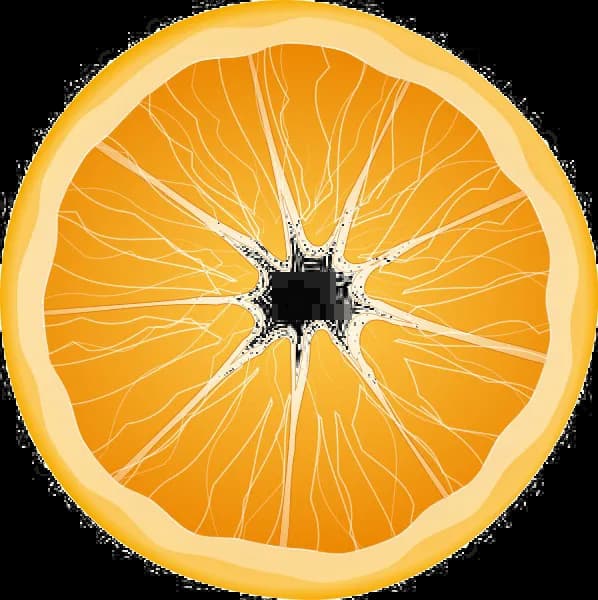 Half-Orange-Transparent-Background