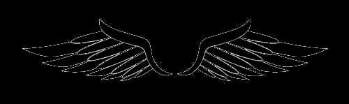 Half Wings, Feather, Symbol, Fantasy, Wingspan PNG