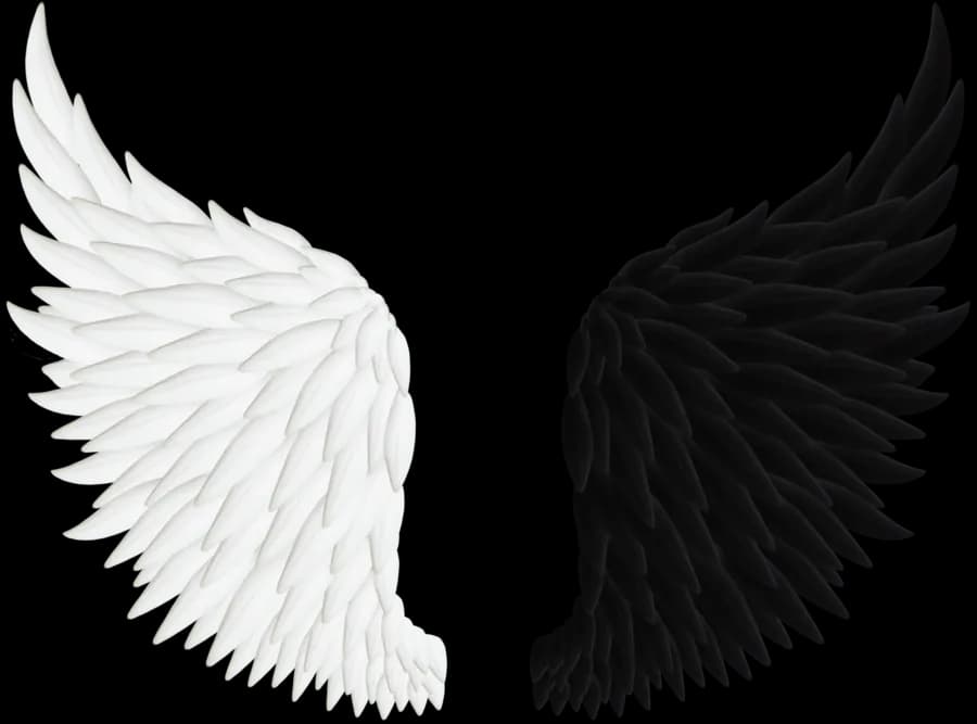 Half-Wings-PNG-Transparent-Image