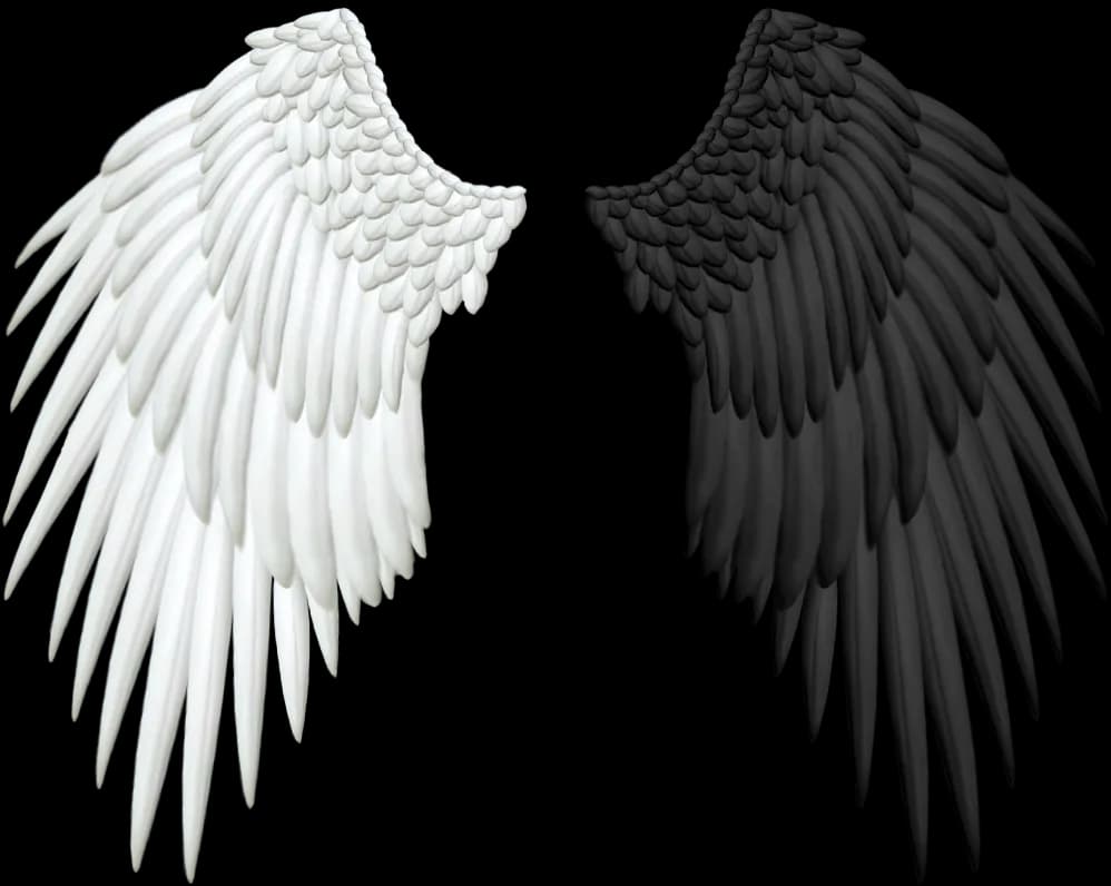 Half-Wings-PNG-Transparent