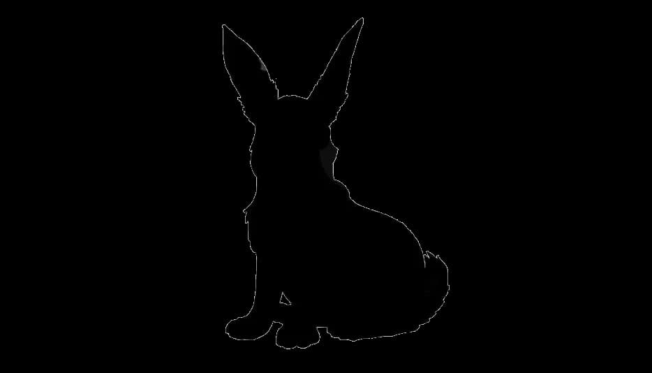 Hares-Download-PNG-Image