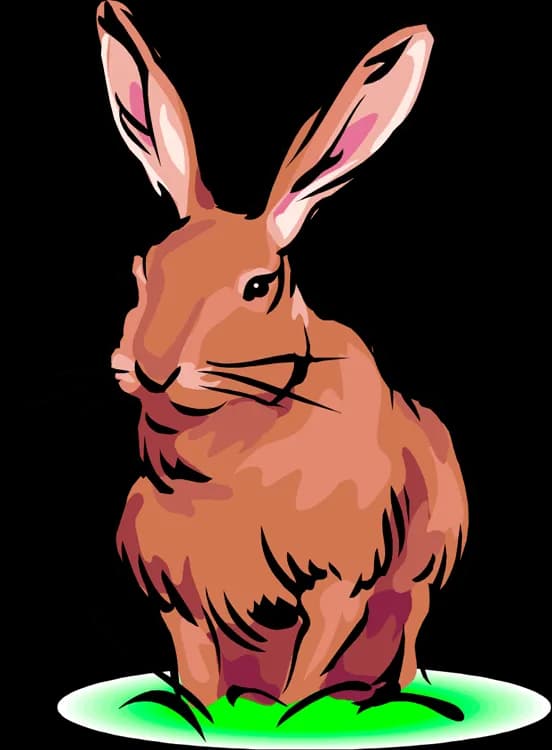 Hares, Wildlife, Behavior, Habitat, Nature PNG