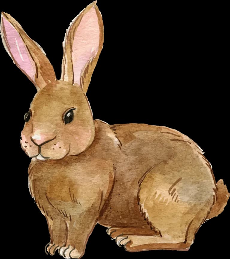 Hares-PNG-Free-Download