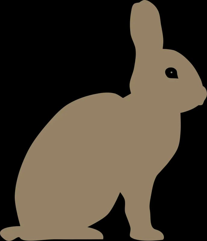 Hares-PNG-HD