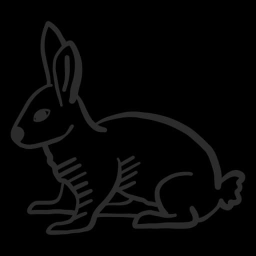 Hares-PNG-Photos