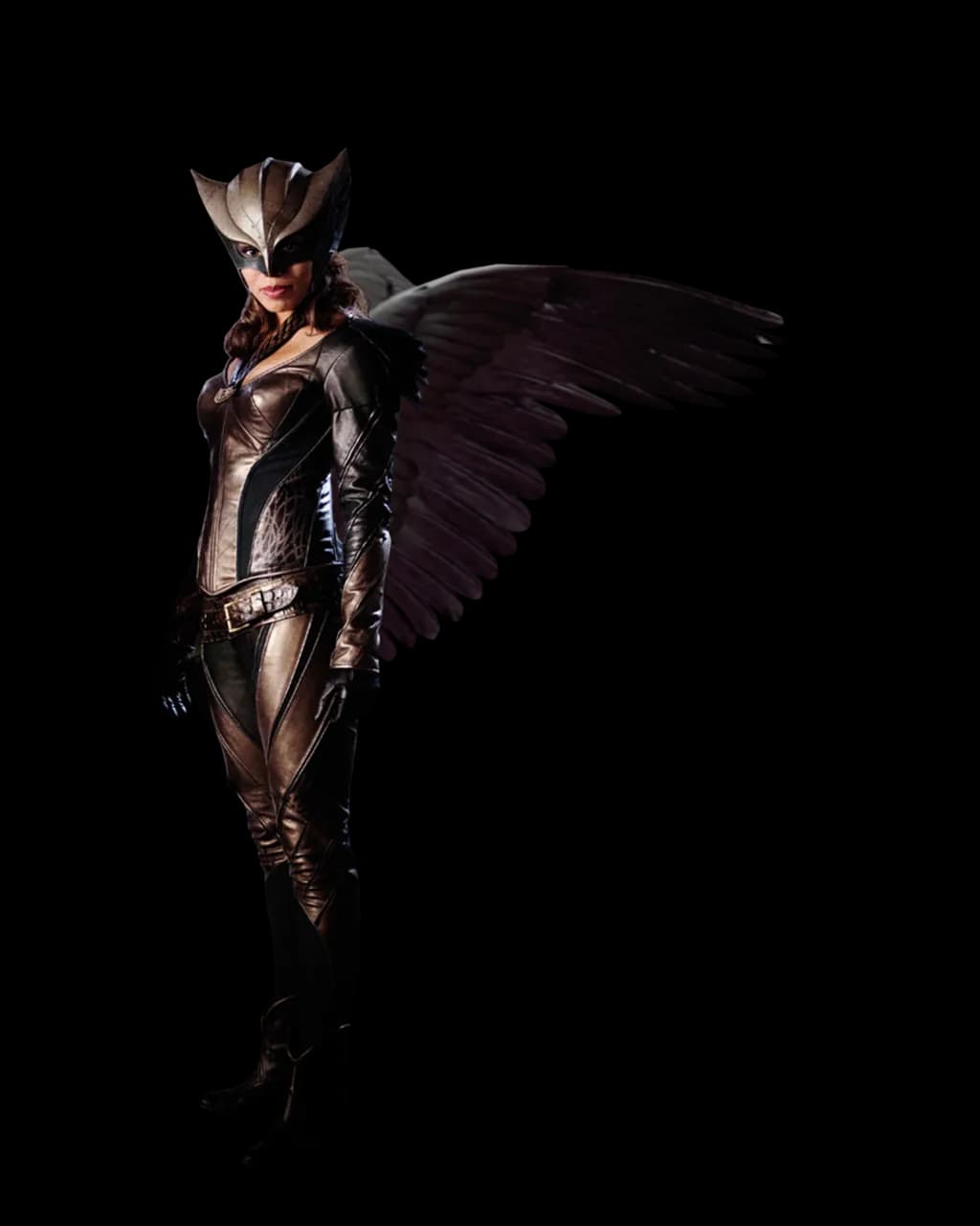 Hawkgirl-PNG-Transparent-Image
