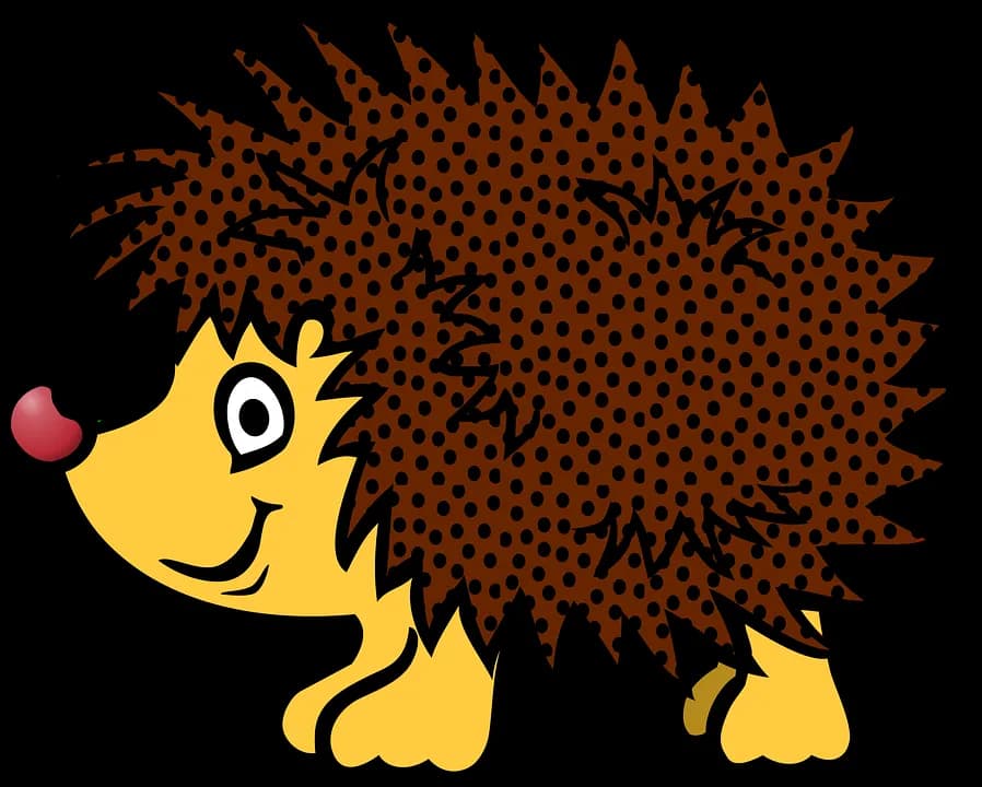 Hedgehogs-PNG-HD