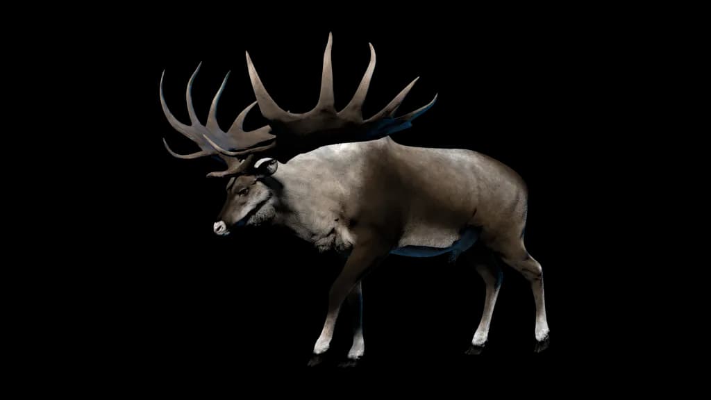 Hollow-horned Ungulates, Grazing Animals, Wild Antelopes, Ruminants, Hoofed Mammals PNG